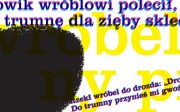 765UNIWERSYTET-Przyrodniczy-We-Wroclawiu-MILUNA-Ewa-Milun-Walczak-pilki-kosz