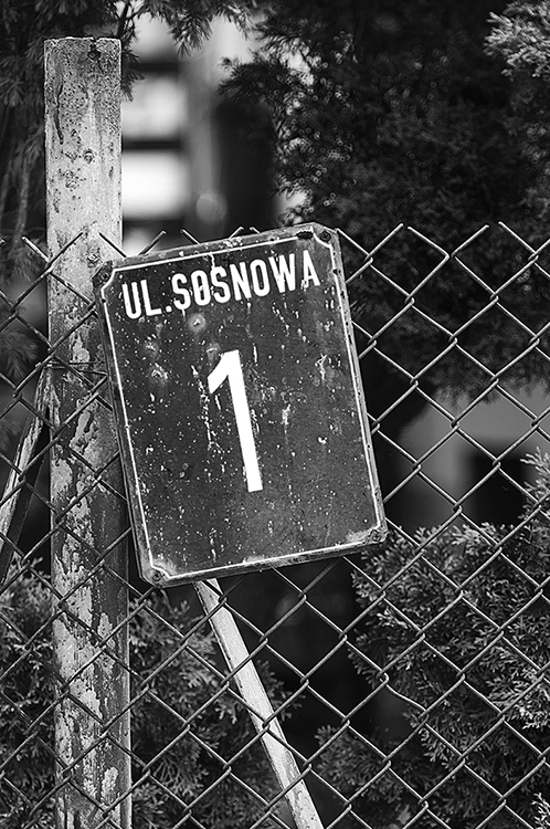 MILUNA-Ewa-Milun-Walczak-ulice-tablica-nazwa-Piastow-drogowskaz-11
