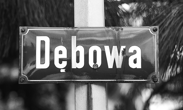 MILUNA-Ewa-Milun-Walczak-ulice-tablica-nazwa-Piastow-drogowskaz-7